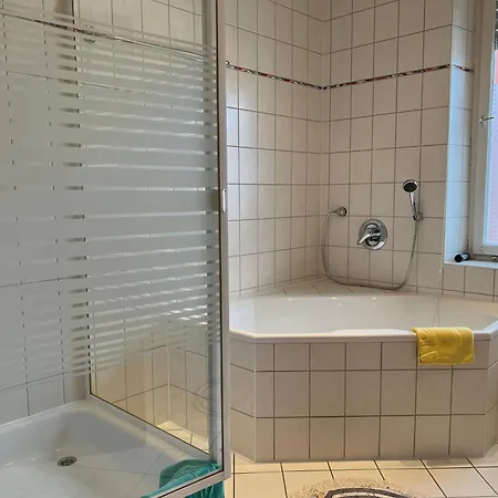 4 * Dolgesheim