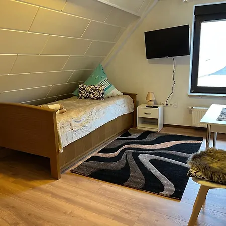 4 Apartment Dolgesheim